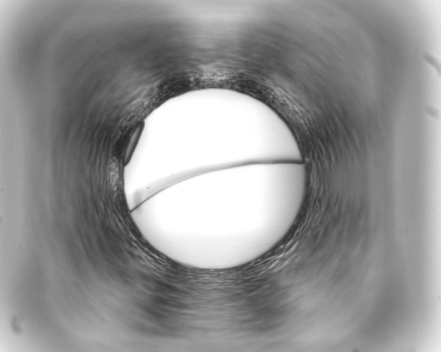 X0000093221299200710241209