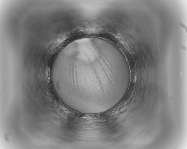 X0000093221301200710241209