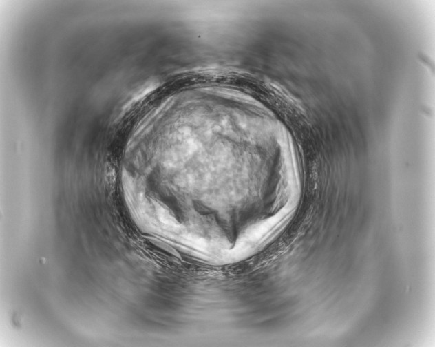 X0000093221302200710241209