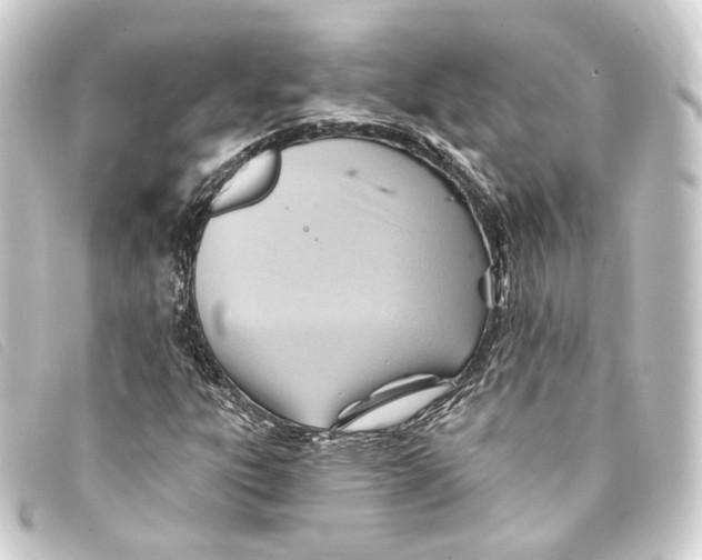 X0000093221303200710241209