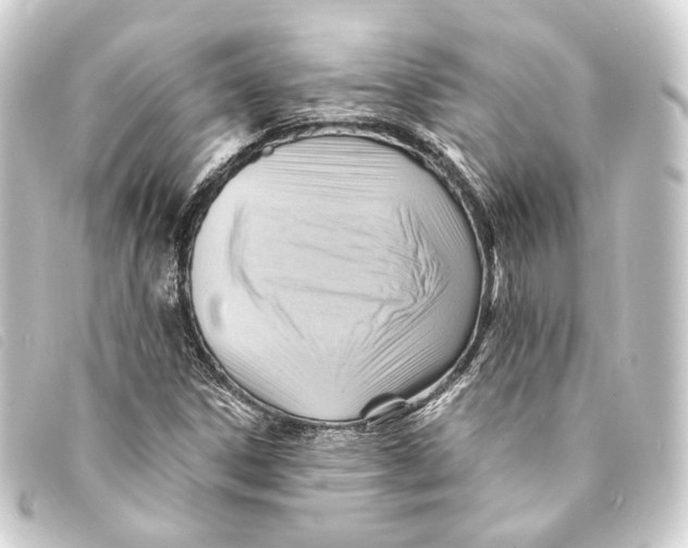 X0000093221306200710241209