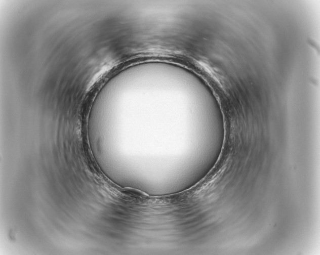 X0000093221307200710241209