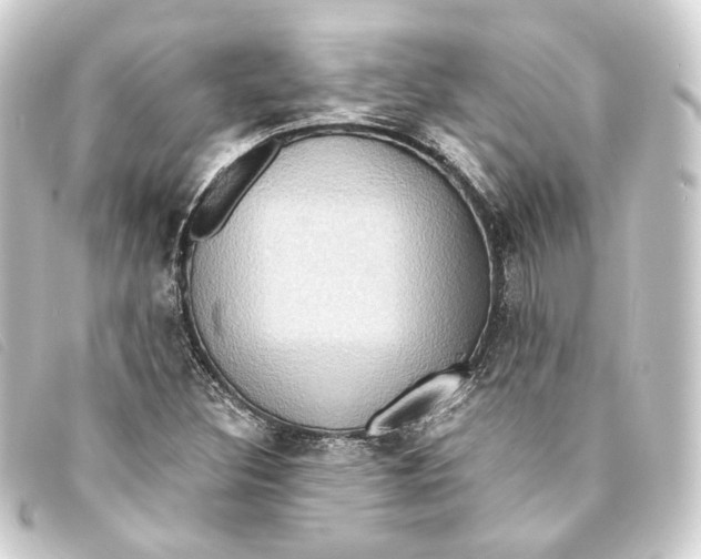 X0000093221308200710241209