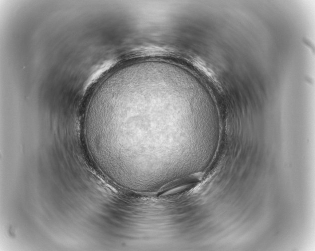 X0000093221309200710241209