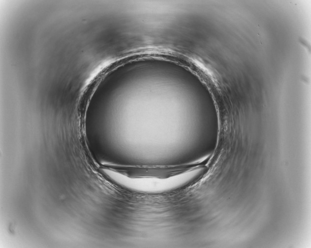 X0000093221310200710241209