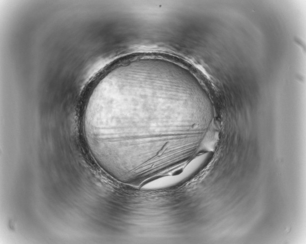 X0000093221311200710241209