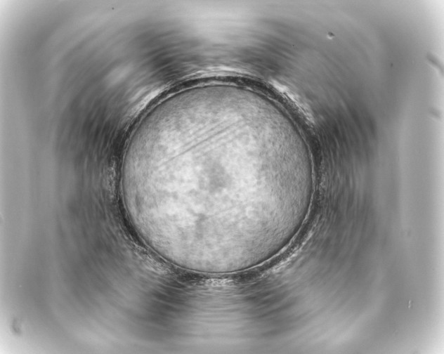 X0000093221313200710241209