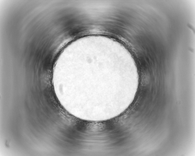 X0000093221314200710241209