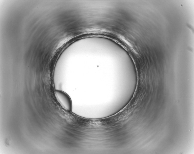 X0000093221315200710241209