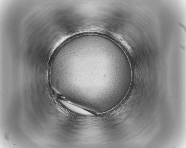 X0000093221316200710241209