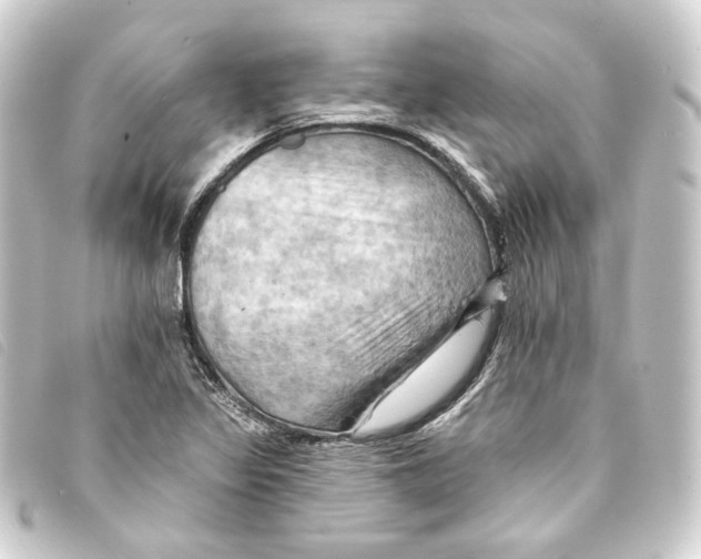 X0000093221317200710241209