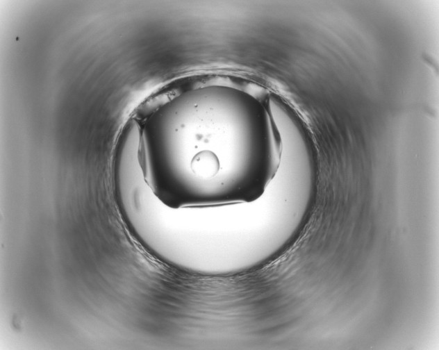 X0000093221320200710241209