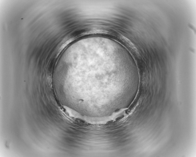 X0000093221321200710241209