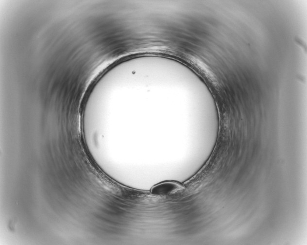 X0000093221324200710241209