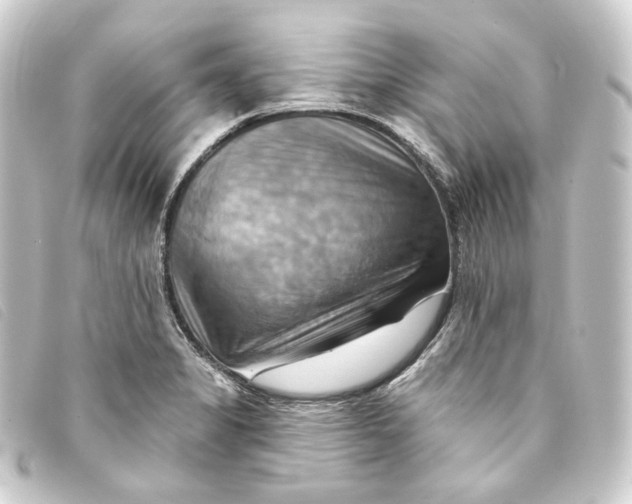 X0000093221325200710241209