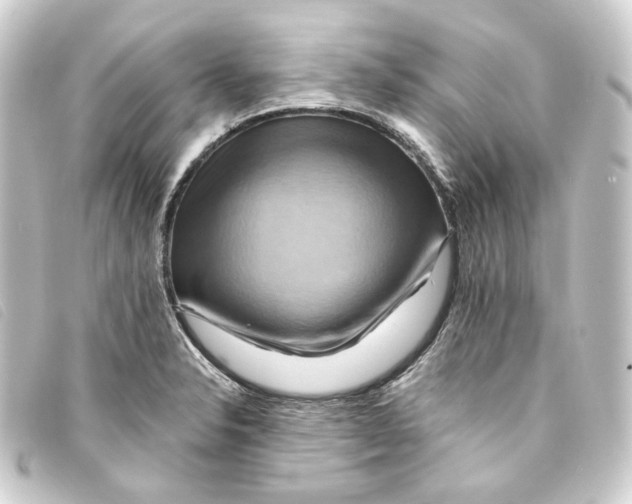 X0000093221326200710241209