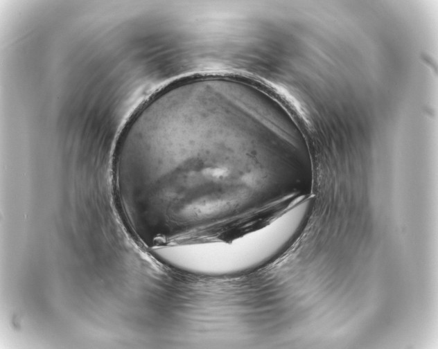 X0000093221327200710241209