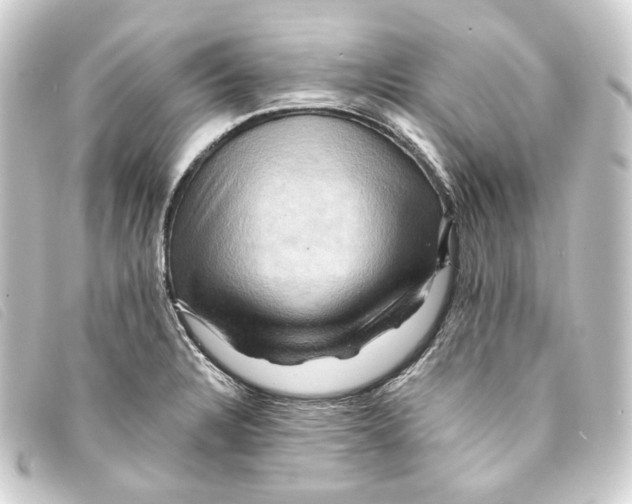 X0000093221328200710241209