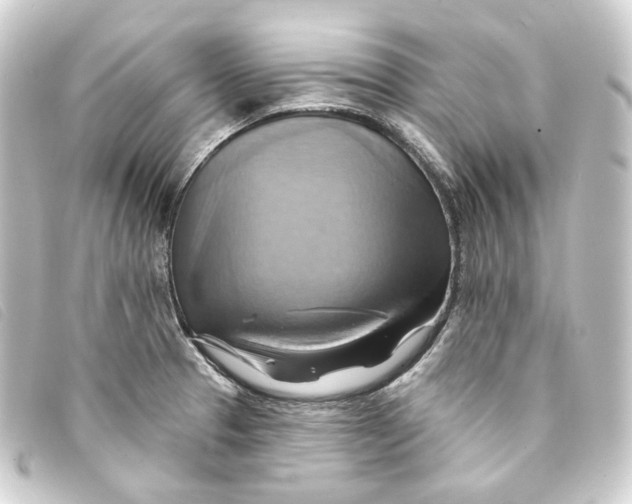 X0000093221329200710241209