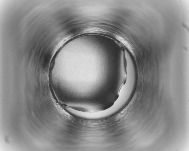 X0000093221330200710241209