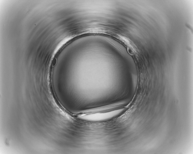 X0000093221331200710241209