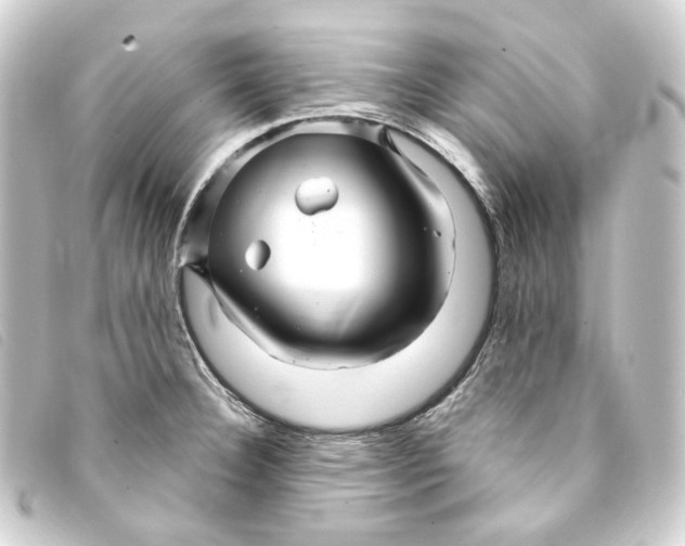 X0000093221332200710241209