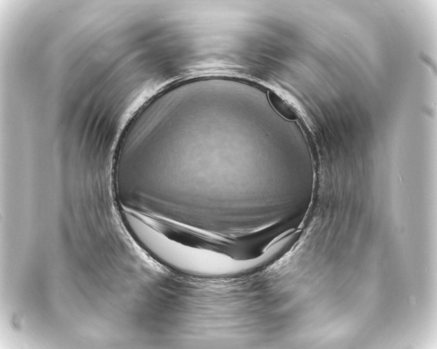 X0000093221333200710241209