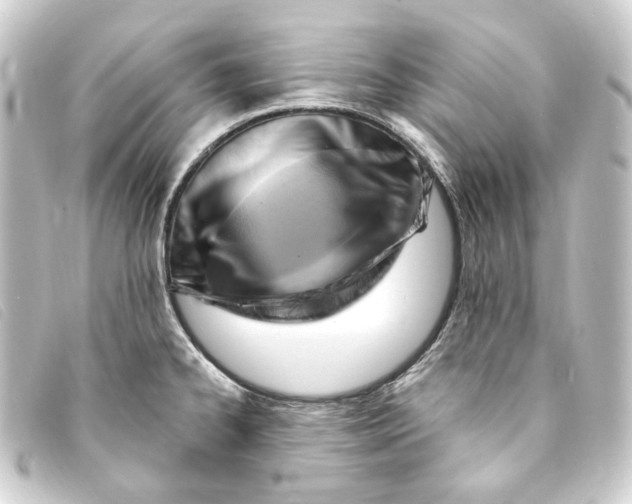 X0000093221334200710241209