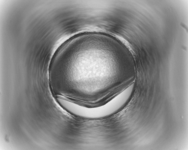 X0000093221335200710241209