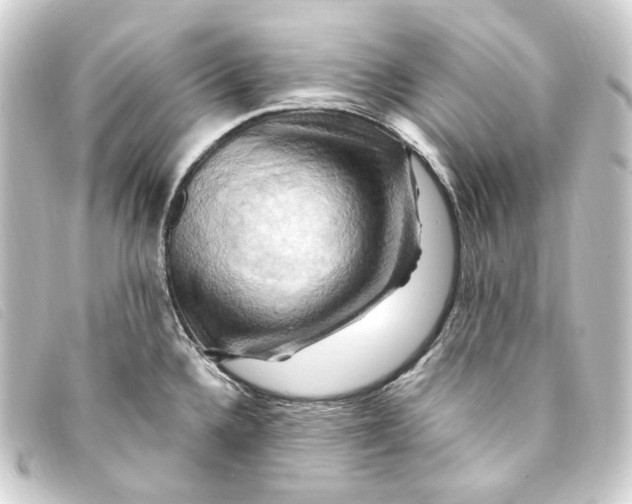 X0000093221336200710241209