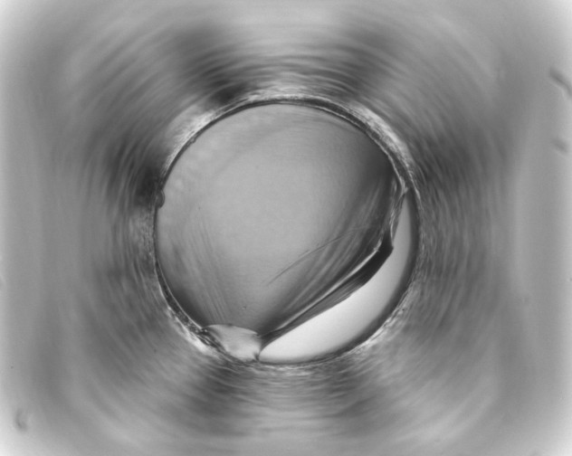 X0000093221337200710241209