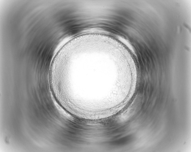 X0000093221338200710241209