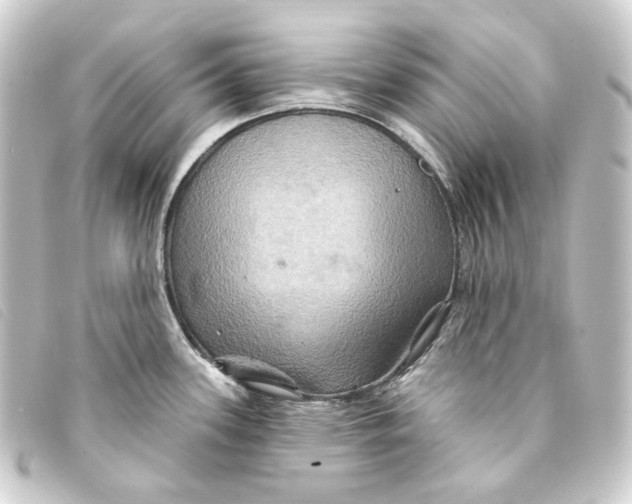 X0000093221339200710241209