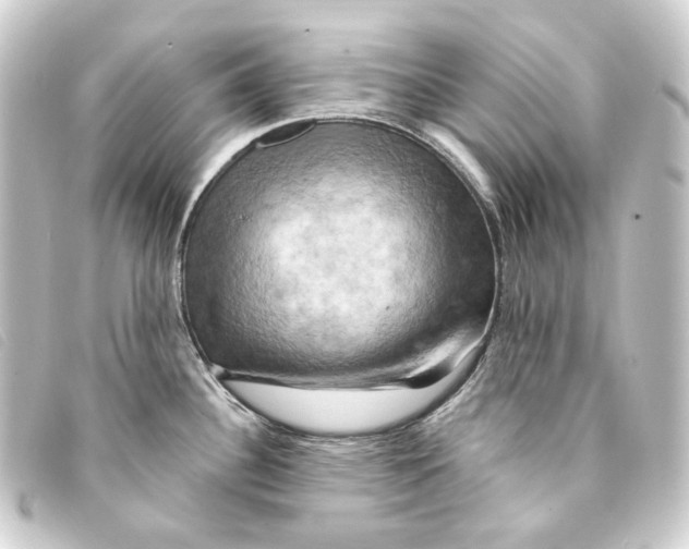 X0000093221340200710241209