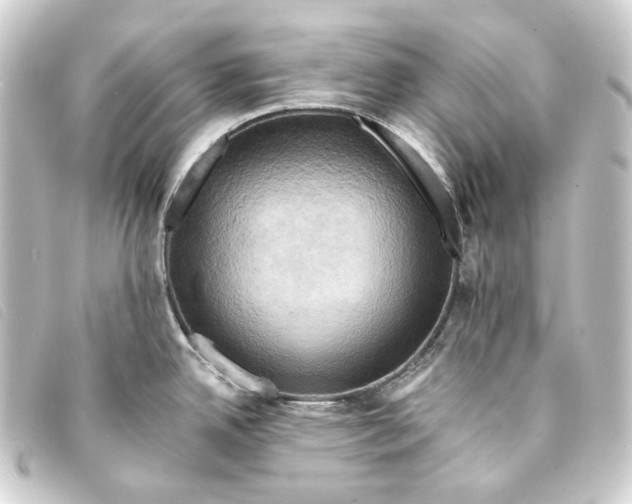 X0000093221342200710241209