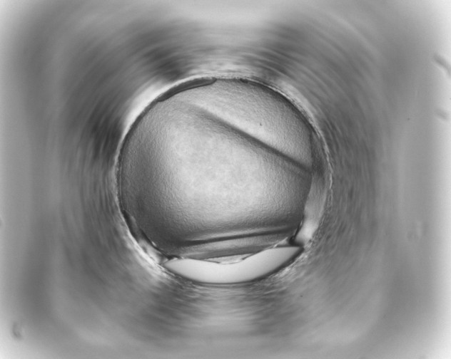 X0000093221344200710241209