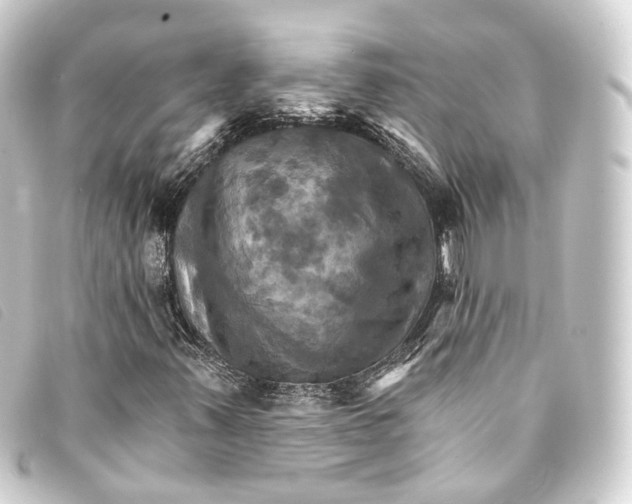 X0000093221347200710241209