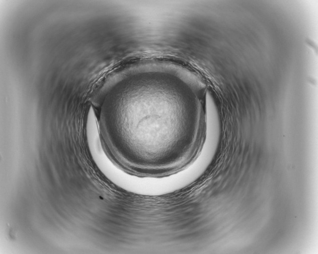 X0000093221348200710241209