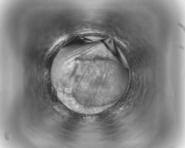 X0000093221351200710241209