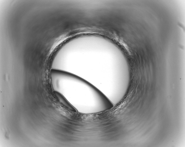 X0000093221352200710241209