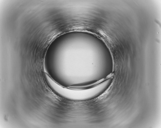 X0000093221353200710241209