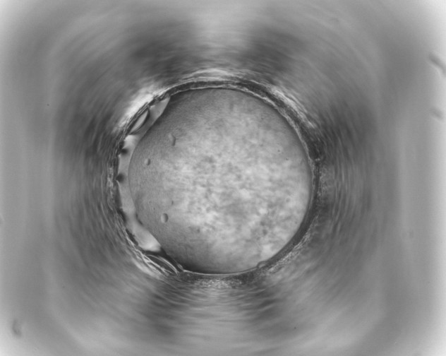 X0000093221355200710241209