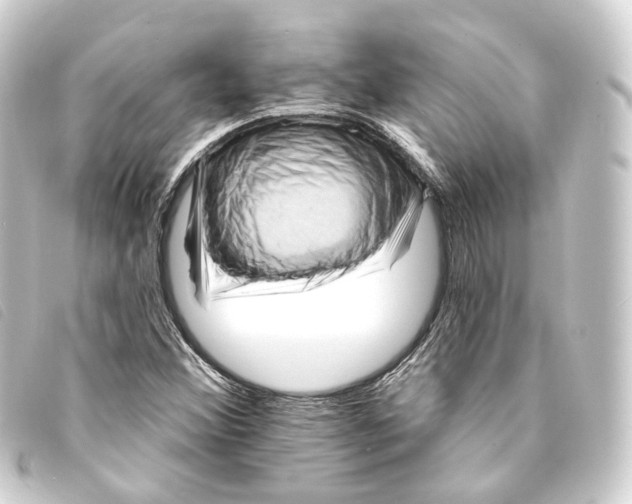 X0000093221356200710241209