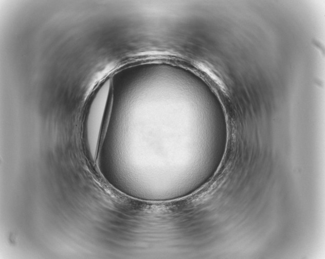 X0000093221357200710241209