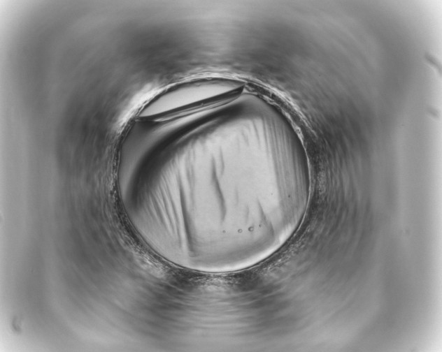 X0000093221359200710241209