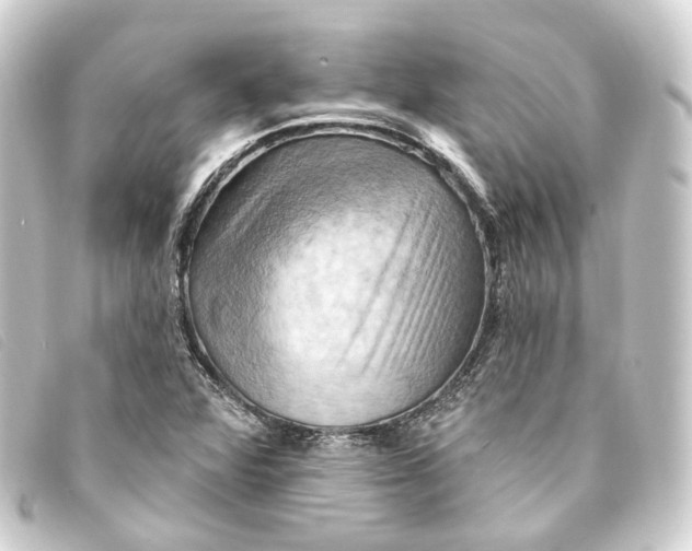 X0000093221360200710241209