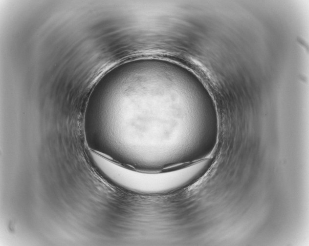 X0000093221361200710241209