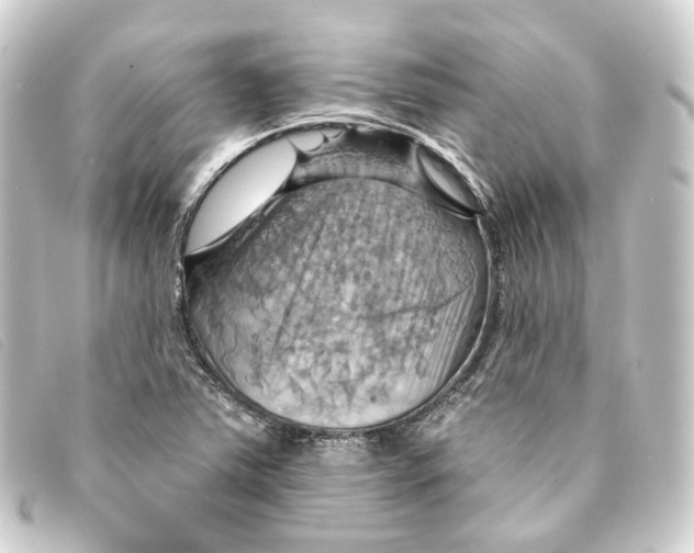 X0000093221363200710241209