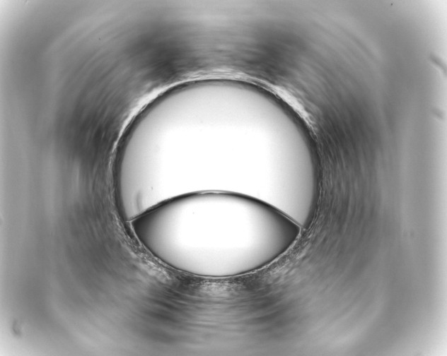 X0000093221364200710241209