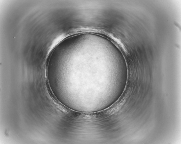 X0000093221365200710241209